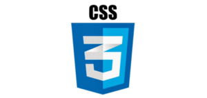 CSS